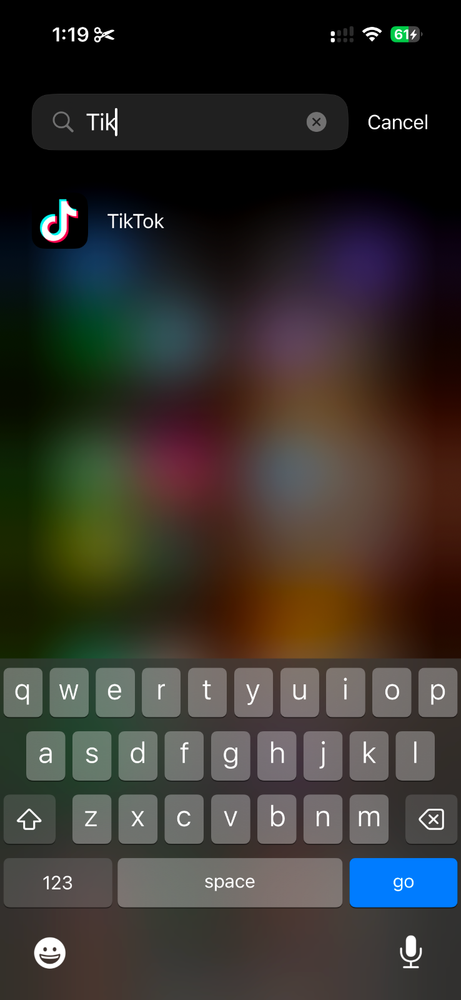 Apple iPhone 15 - 128 GB - Black (Unlocked)