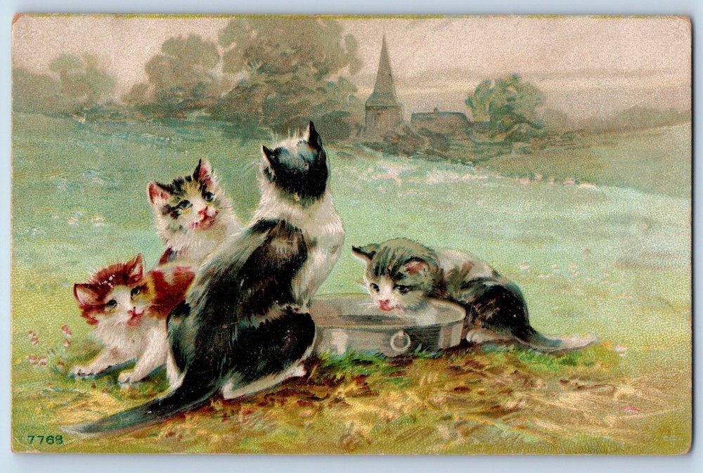Animals Postcard Cute Cat Kittens Drinking Water Scene Field Embossed c1910's