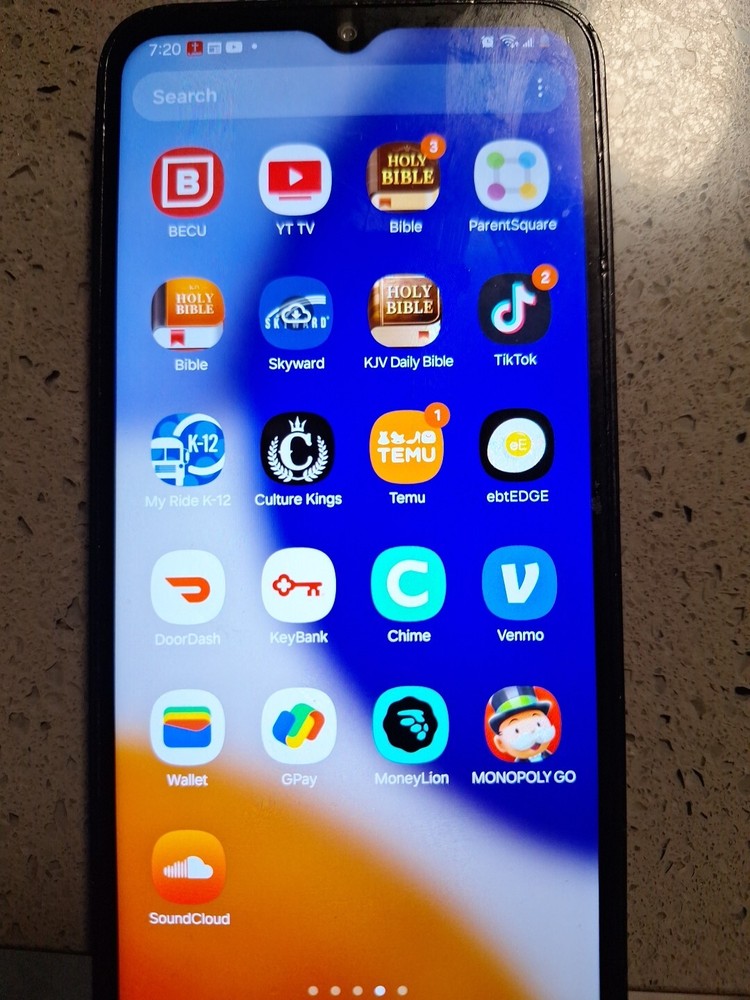 Android LG With Tiktok Downloaded