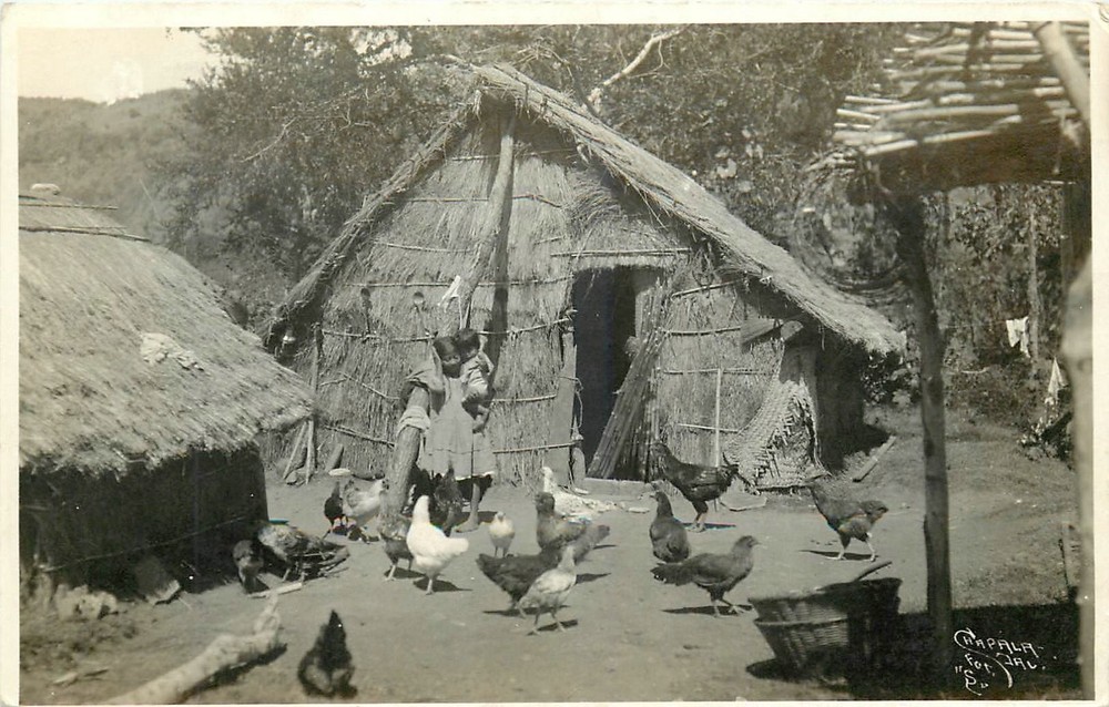 1930s Jalisco Mexico Native Woman  hut chickens RPPC Postcard 26-2970
