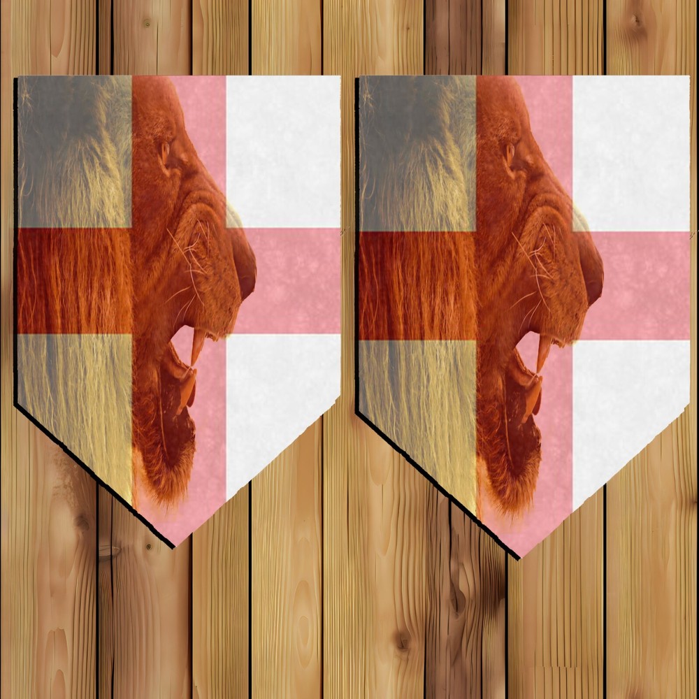 England Bunting St George Euro 2024 Football Sports Euro's Lion flag