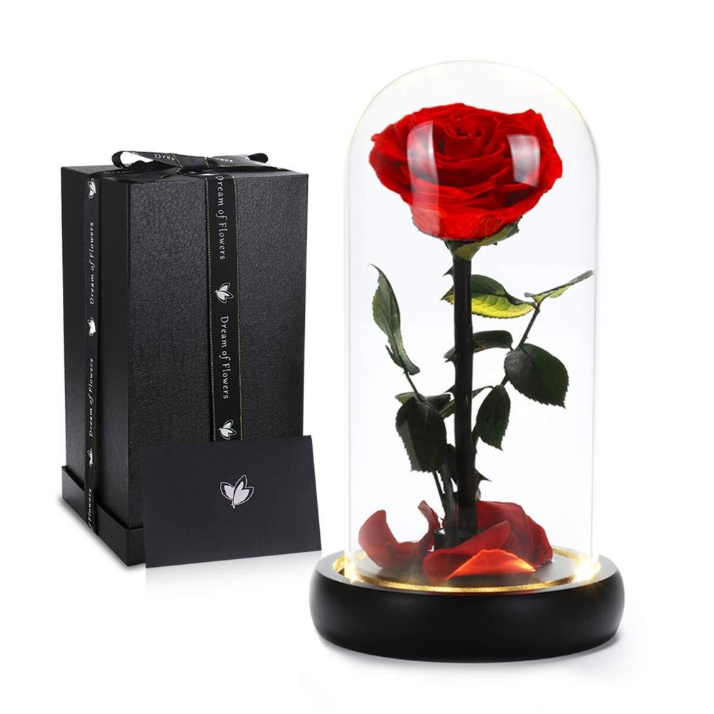 Valentine's Day Beauty and the Beast Preserved Real Rose Gift for Her