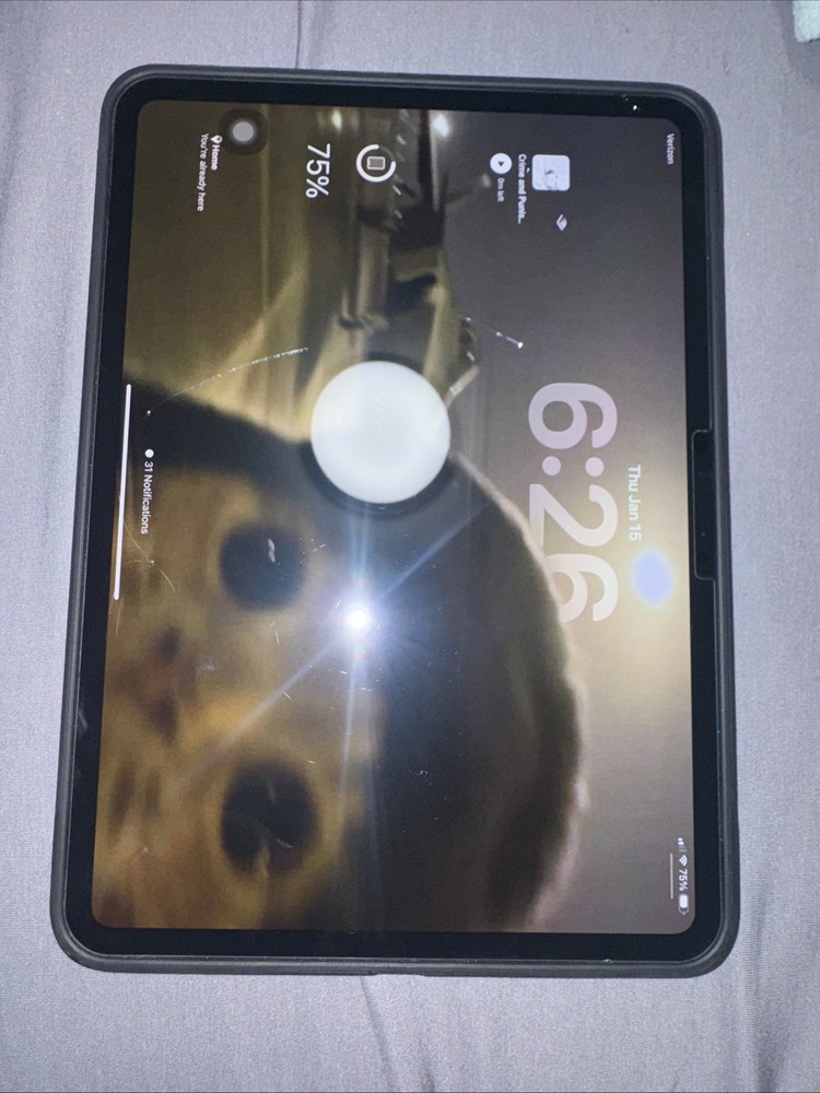 Apple iPad Pro M4 11-inch Wi-Fi Cellular Tablet 256GB, Space Black