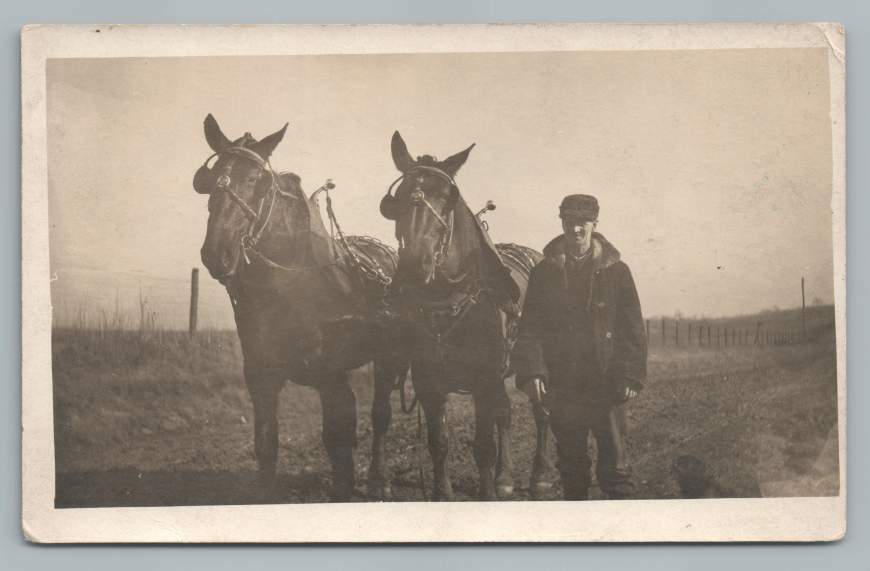 Vintage 1910s Farmer with Two-Horse Team Antique Real Photo Postcard RPPC  