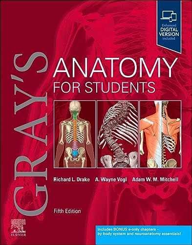Gray's Anatomy for Students - Paperback, by Drake PhD Richard L.; - Very Good