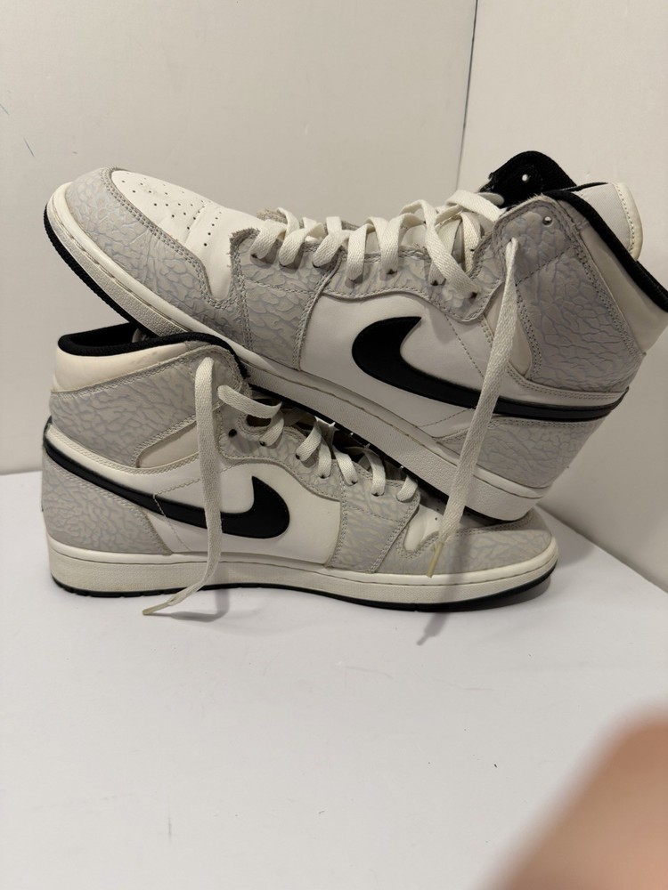 Size 13 - Jordan 1 Elephant Print 999 Sample