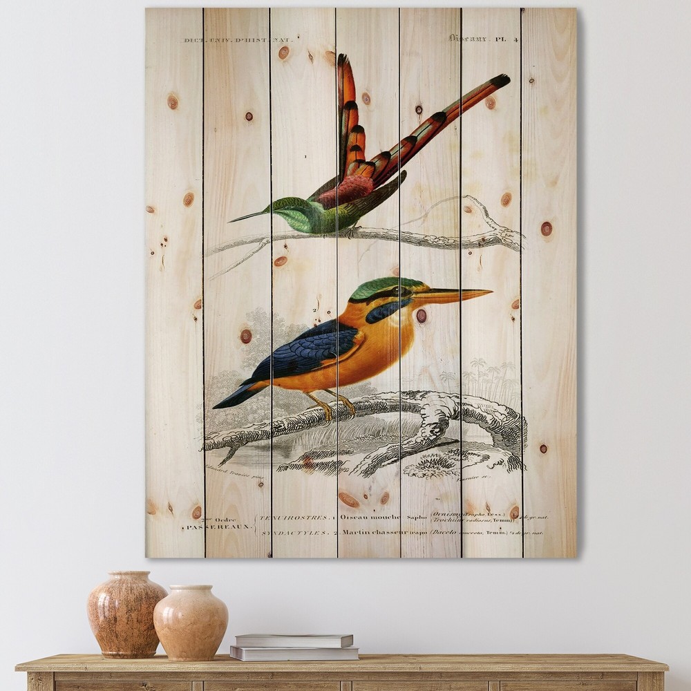 Designart 'Vintage Bird I' Traditional Print on Natural Pine