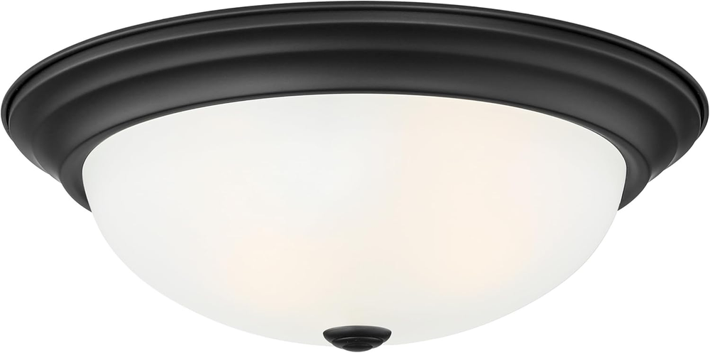 2-Light Flush Mount Ceiling Light, 13 Inch Lighting Fixture for Kitchen, Bedroom