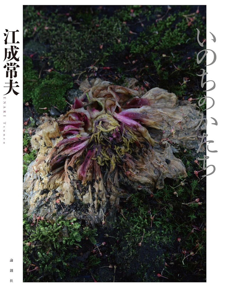 Tsuneo Inari 2024 Photo Collection Book Life in Japan Art  