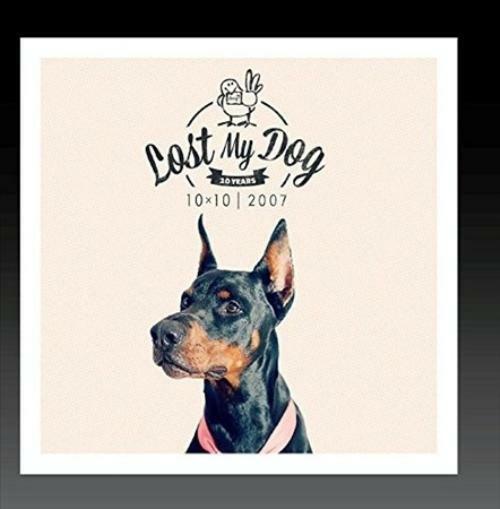 VARIOUS ARTISTS - LOST MY DOG 10 X 10-2007 NEW CD