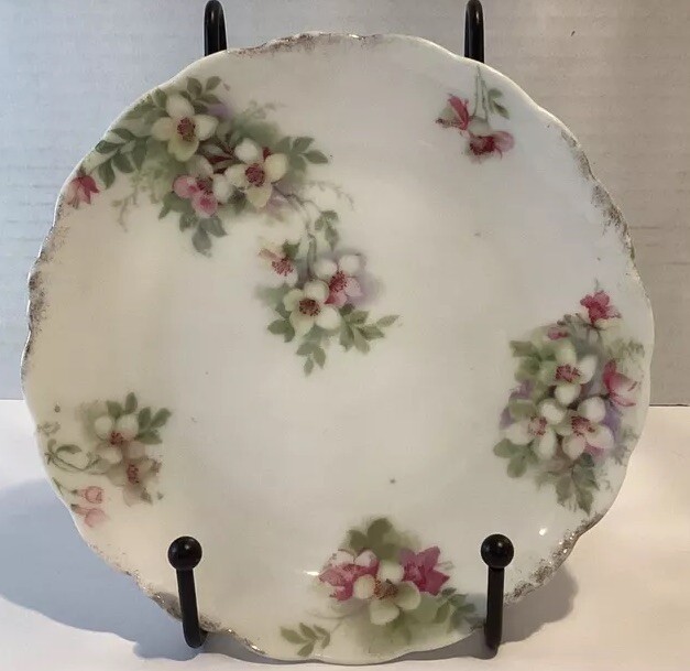 Antique  J&C Malmaison Louise Bavaria Hand Painted Floral Plate