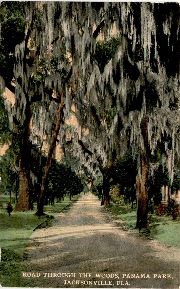 Panama Park, Jacksonville, Fla., H. & W.B Drew Co., Florida, United Postcard