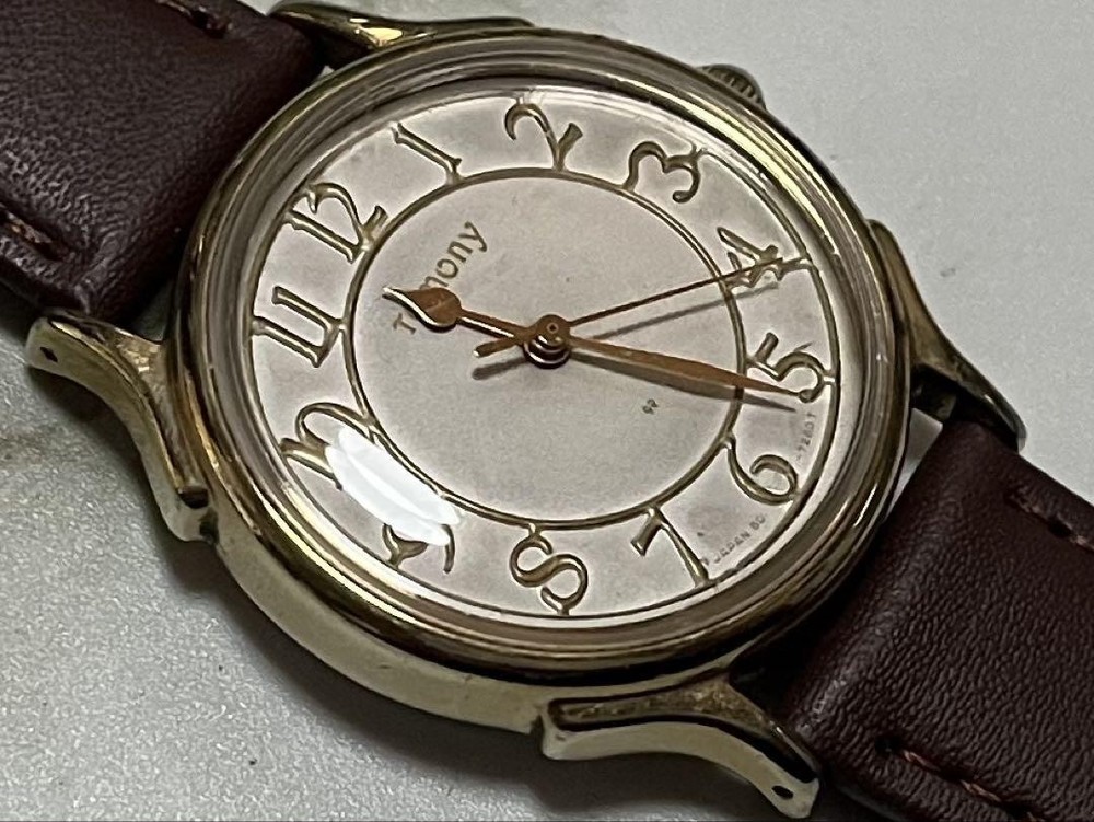 This Is The Operation Confirmed For Model Seiko Tomony/Seiko Tomony Men'S Mechan