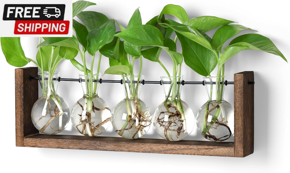 Plants Propagation Stations,Plant Terrarium with Wooden Stand,Wall Hanging Glass