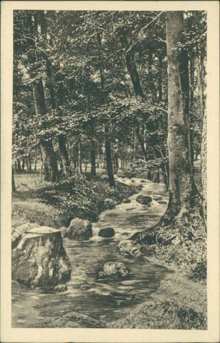 Ansichtskarte Gernrode Harz Im Waldesschweigen Motiv aus dem Hagental  (Nr.9050)