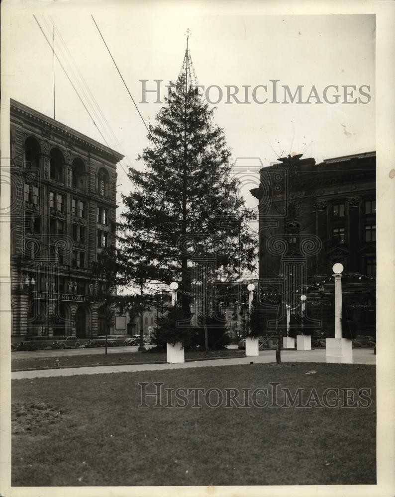 1938 Press Photo A giant Christmas tree between two buildings - cvb35799