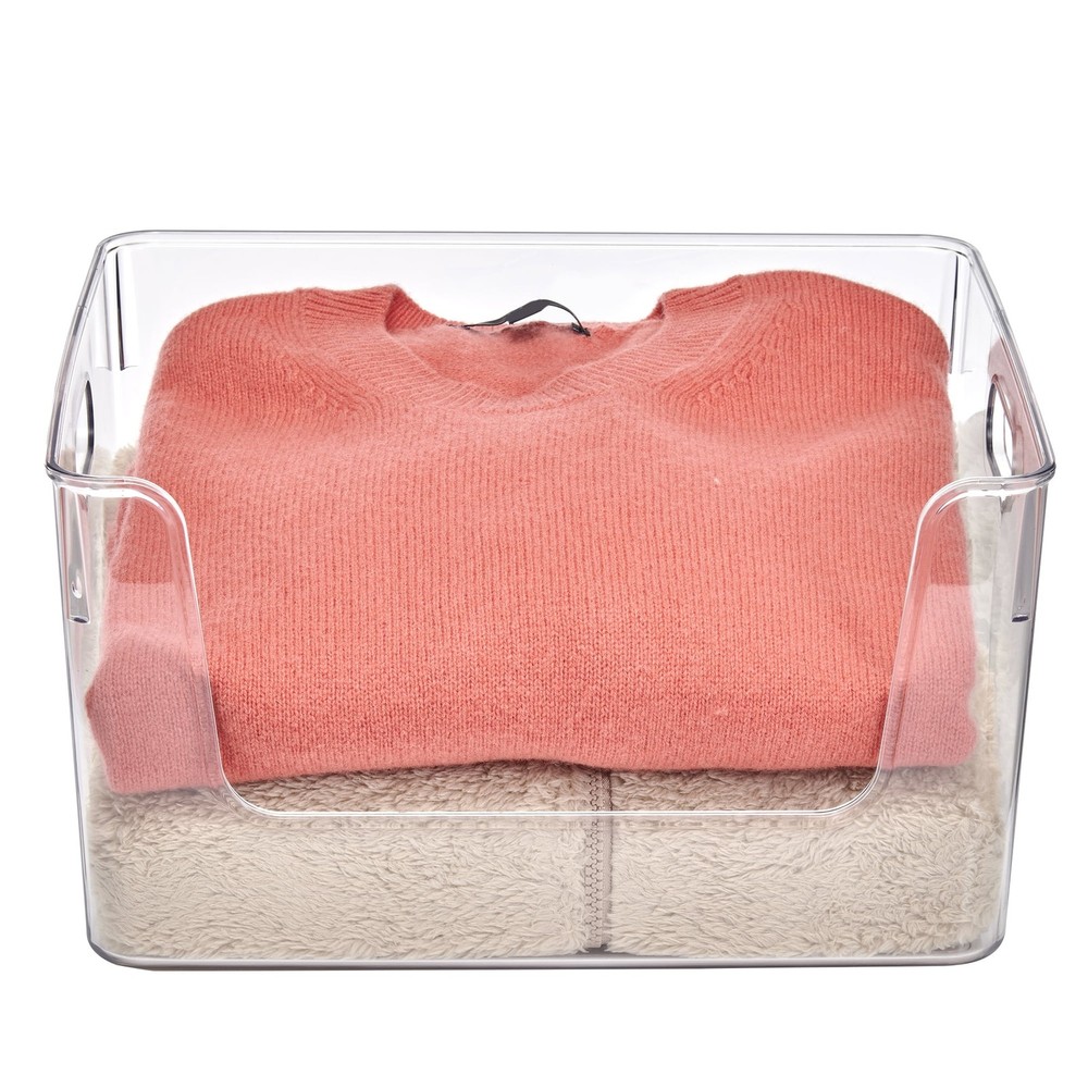 Clear Glossy Open Front Plastic Organizer Bin Single Size