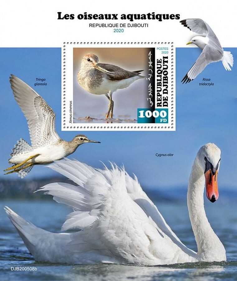 AQUATIC WATER BIRDS 1-Value MNH Bird Stamp Sheet #187 (2020 Djibouti)