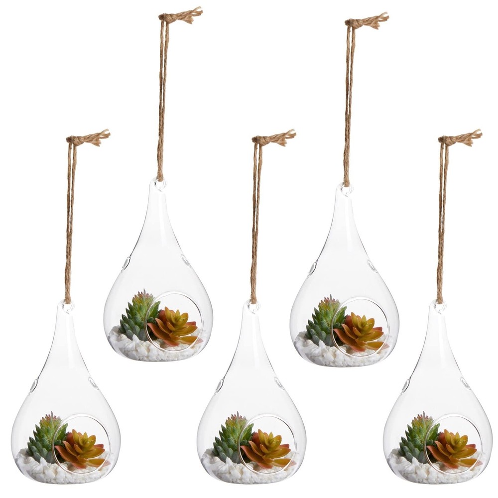 5-Piece Glass Hanging Planter Terrarium Propagation Station