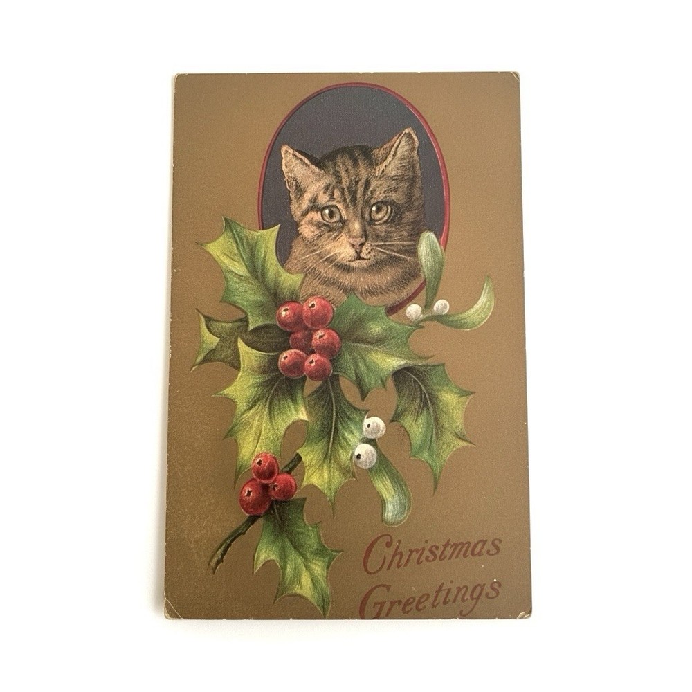 Signed Artist Postcard Christmas Cat Holly Berries Mistletoe Embossed c1908