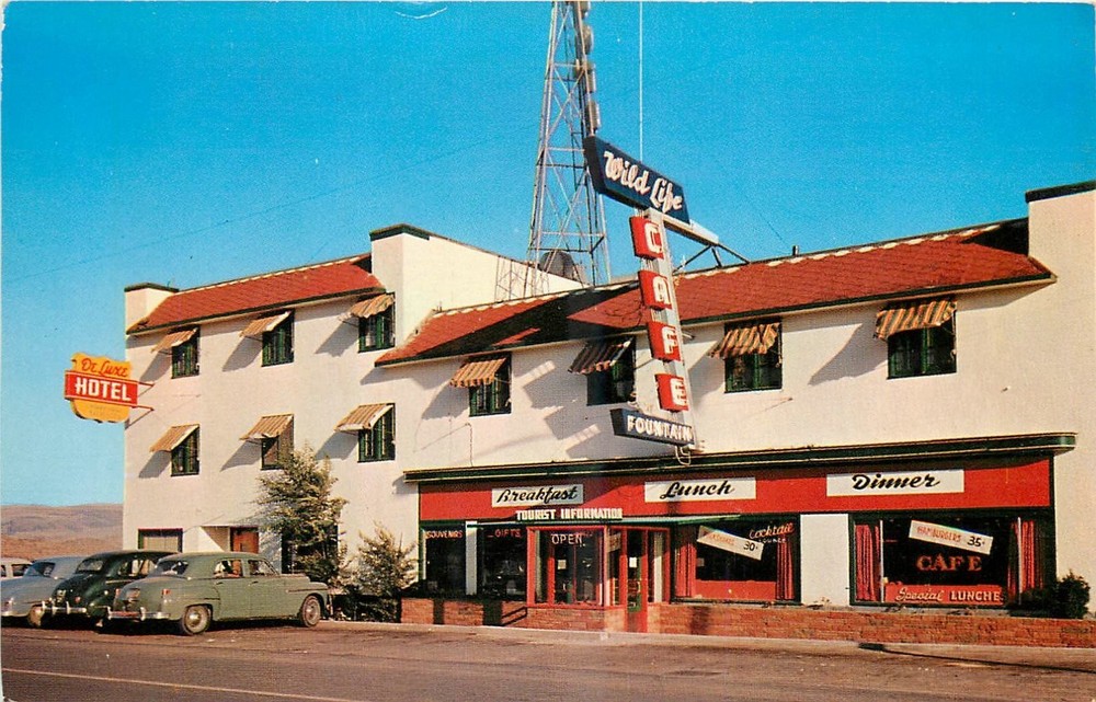 1950s Grand Coulee Washington Deluxe Hotel Wildlife room Cafe Postcard 25-6288