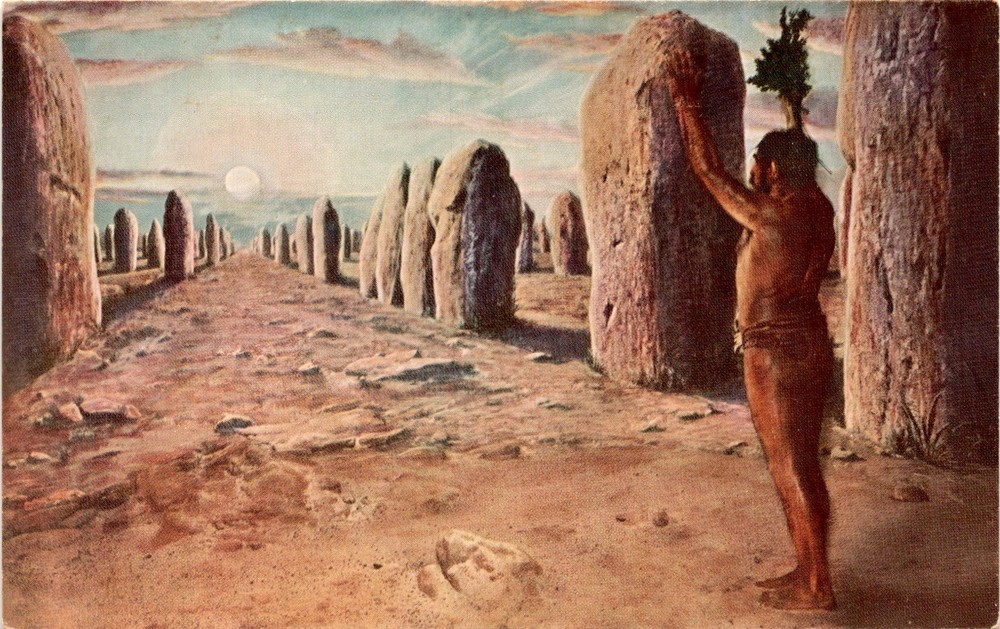 CHICAGO NATURAL HISTORY MUSEUM, Field Museum of Natural History, Postcard