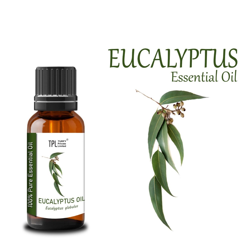 100% Pure Natural Eucalyptus Essential Oil for Aromatherapy