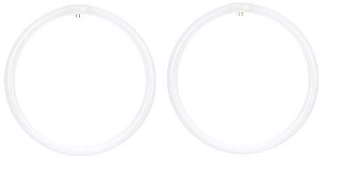 FC16T9/CW Fluorescent T9 Circline Ceiling Light Bulb, 40 Watt, 4100K - 2 Pack