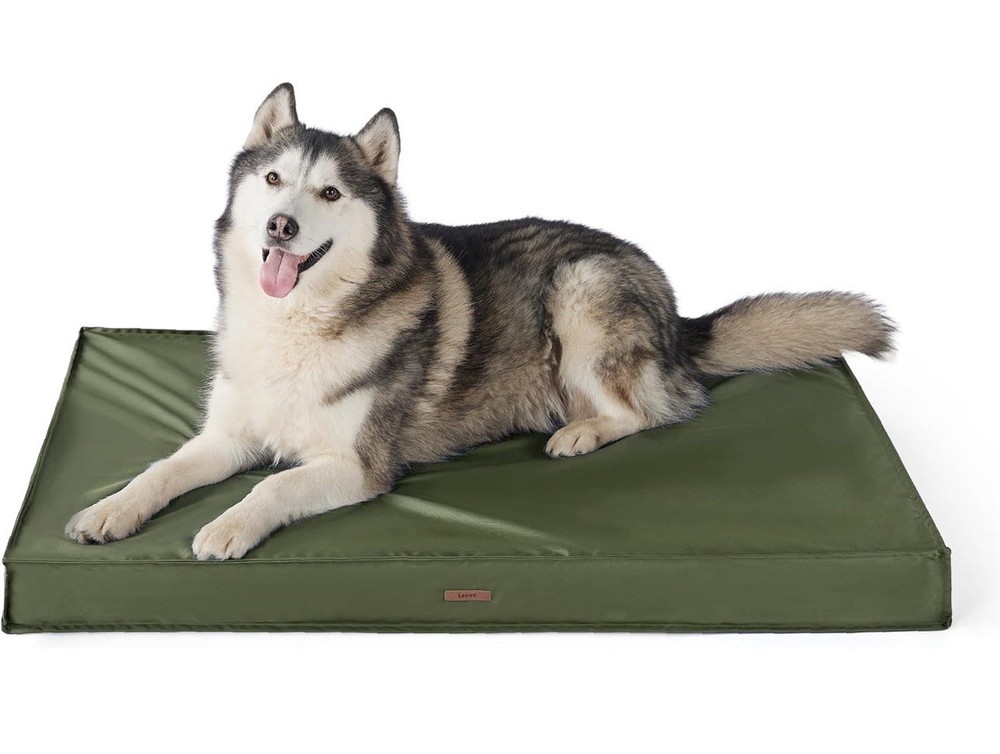 XXL Orthopedic Memory Foam Dog Bed with Waterproof Removable Cover Open Box