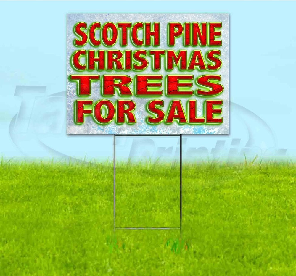 SCOTCH PINE CHRISTMAS TREES FOR SALE 18x24 Sign Corrugated Plastic Bandit-image