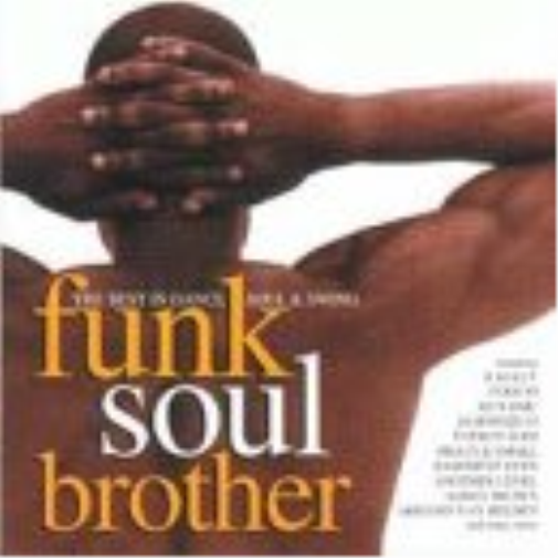 Various Funk Soul Brother (CD)