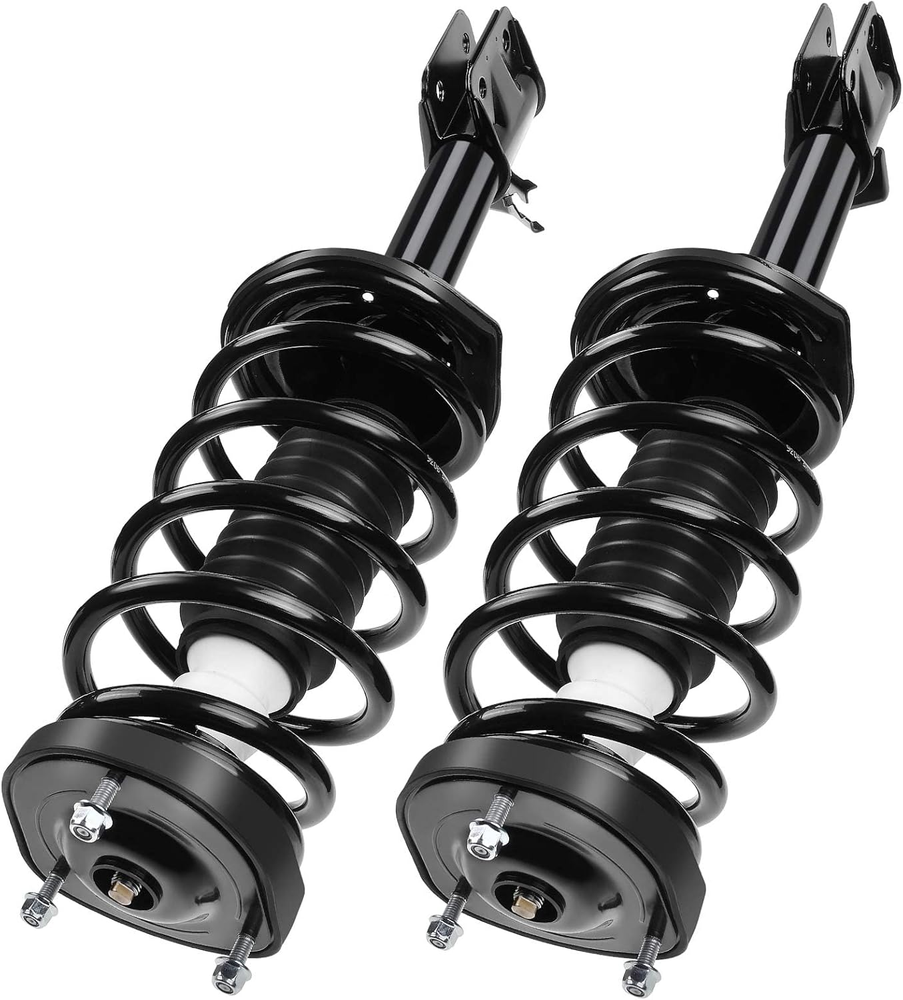 Rear Pair Complete Suspension Strut & Coil Spring Assembly for S-Series Models