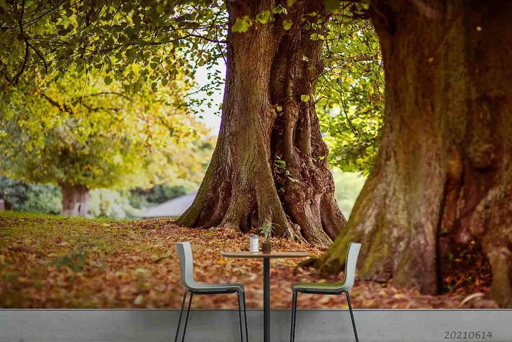 3D Trees Autumn Landscape Wall Murals Wallpaper Murals Wall Sticker