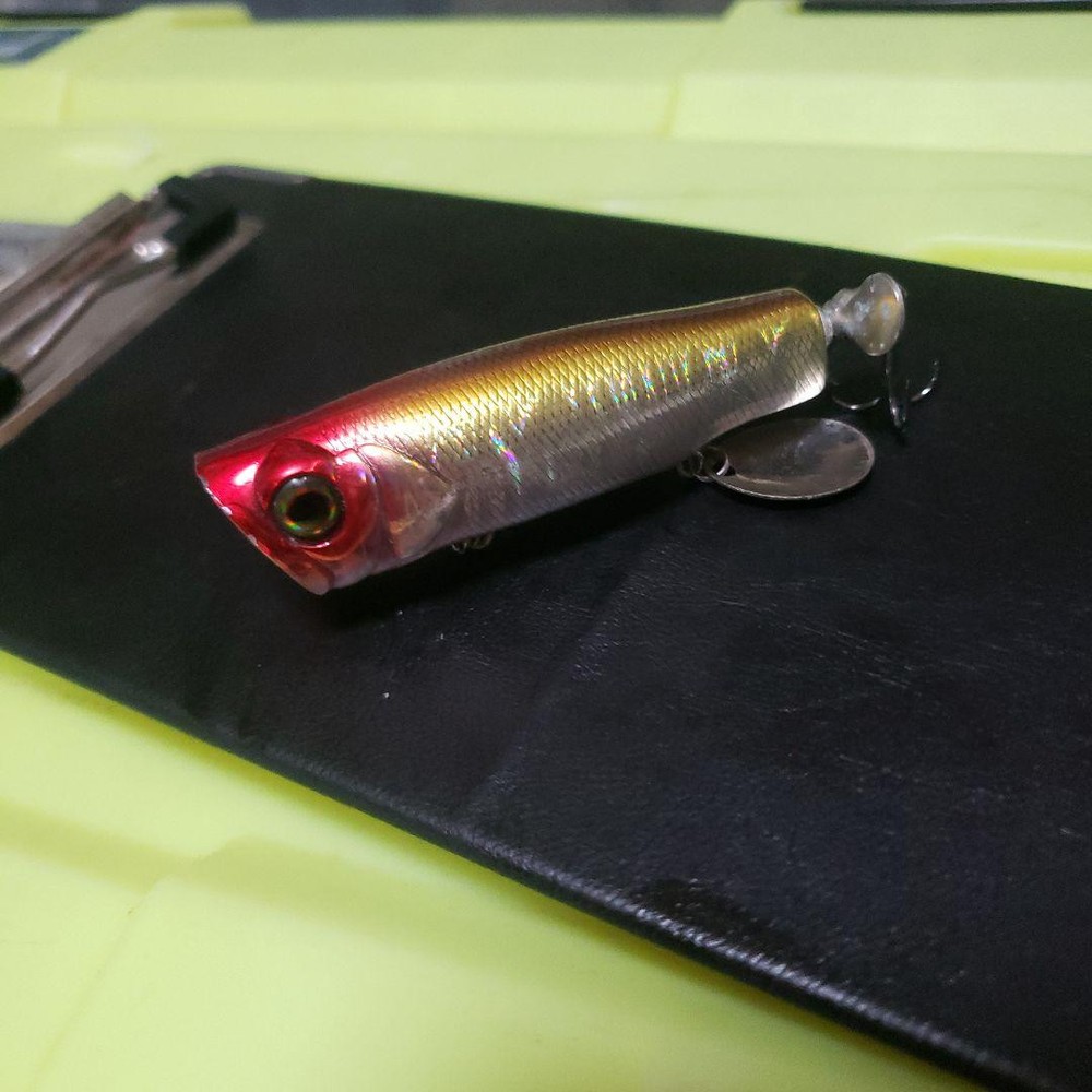 Jackall Binksy Premium Fishing Lure for Bass  