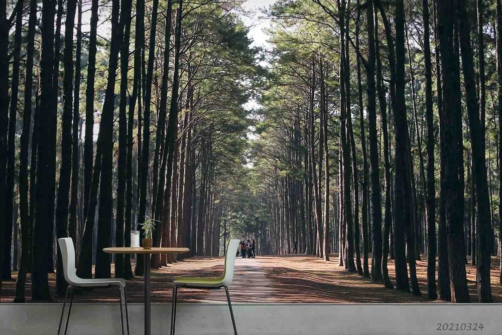 3D Forest Path Landscape Wall Murals Wallpaper Murals Wall Sticker