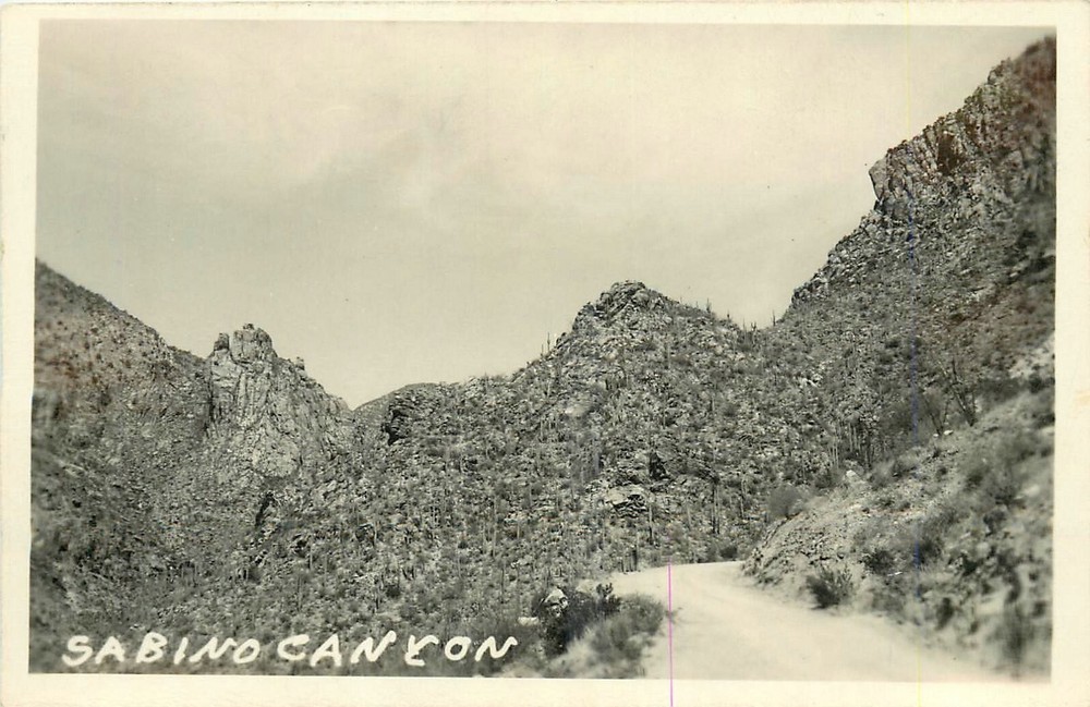 1940s Tucson Arizona Sabino Canyon RPPC Postcard 25-4589