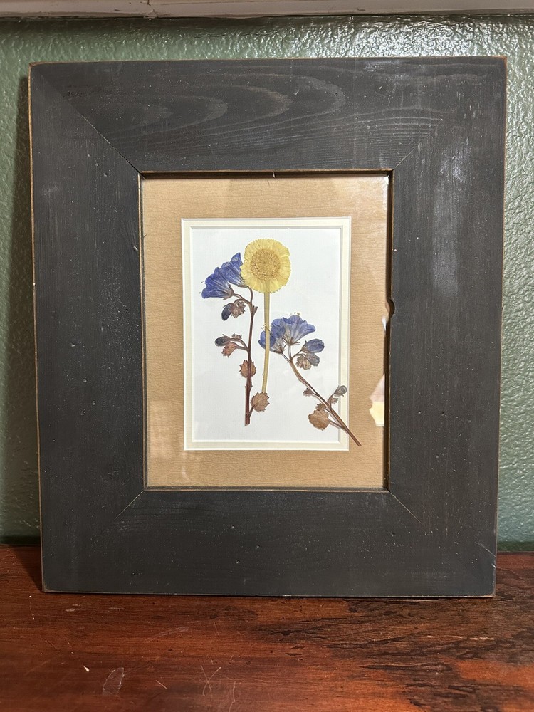 Twelve Timbers Made In USA Pressed Flower Double Matted & Framed Cottage Core-image