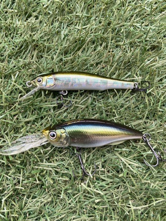 Fishing Lure Megabass Lure Set Of 2