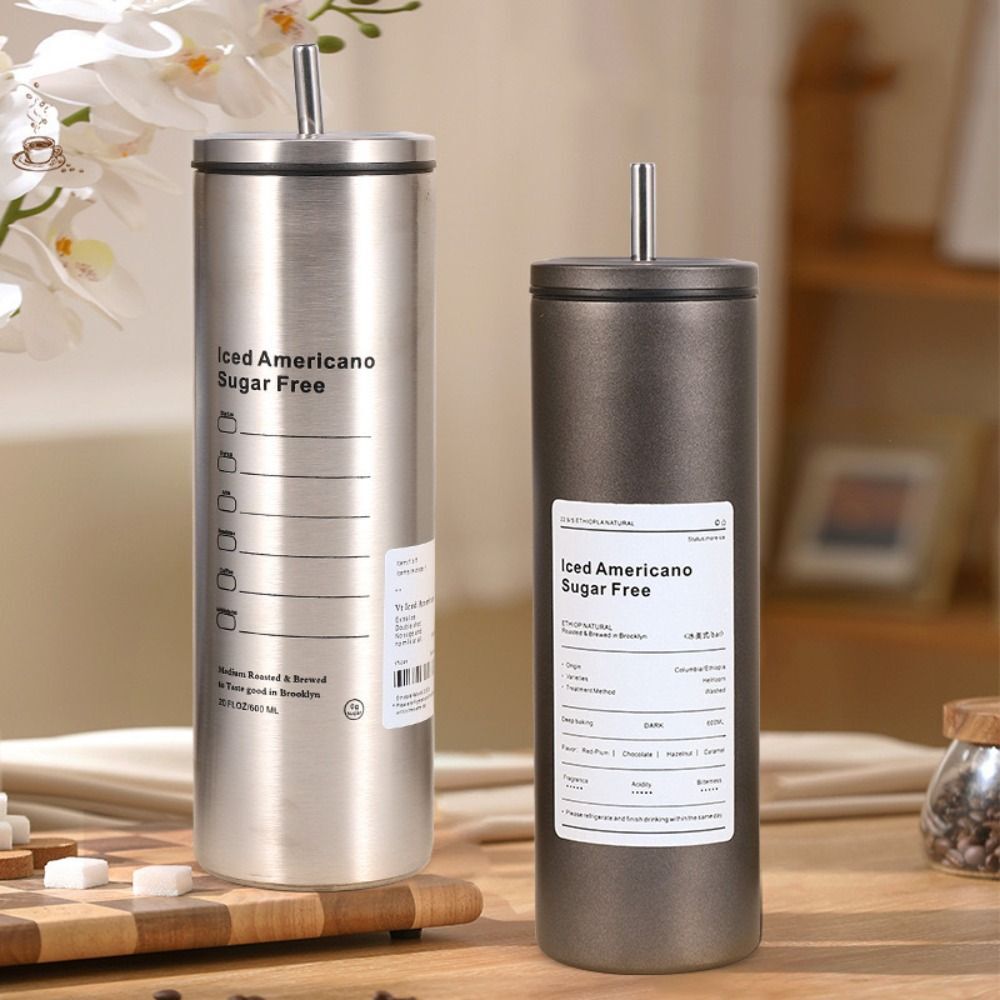 Double layered Stainless Steel Straw Cup Coffee Mug 600ml Insulation Water Cup