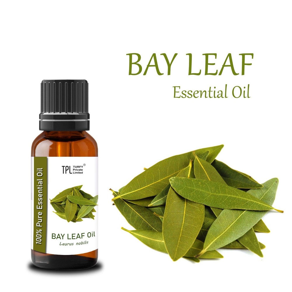 100% Pure Bay Leaf Essential Oil - 30ml Therapeutic Grade