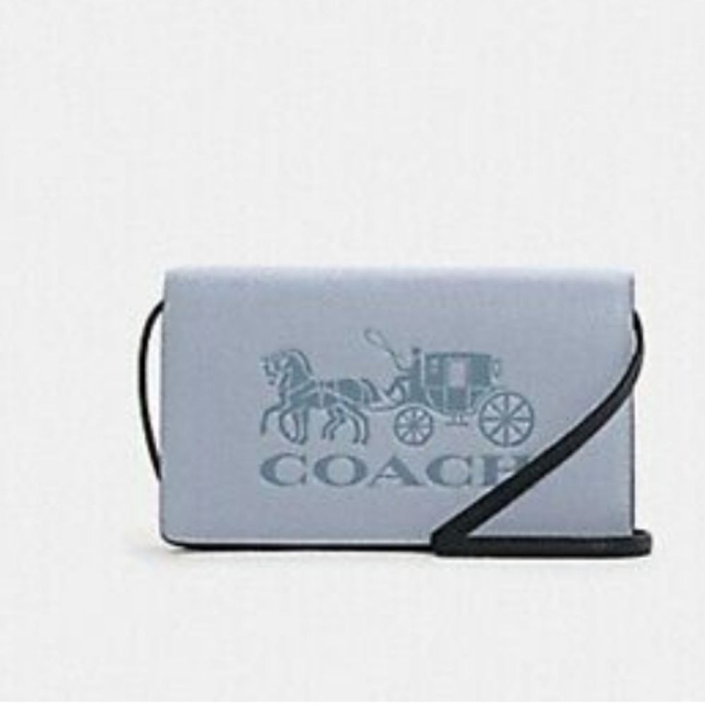 Coach Anna Clutch Crossbody Bag in Signature Leather