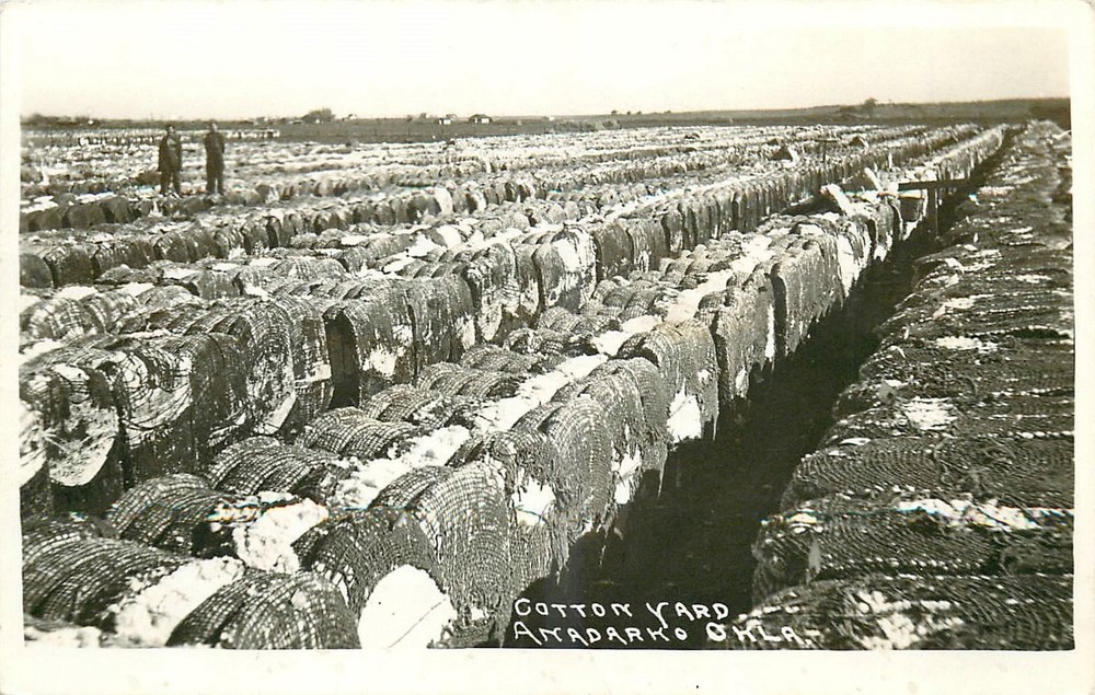 1930s Anadarko Oklahoma Cotton Yard occupation RPPC Postcard 25-10339