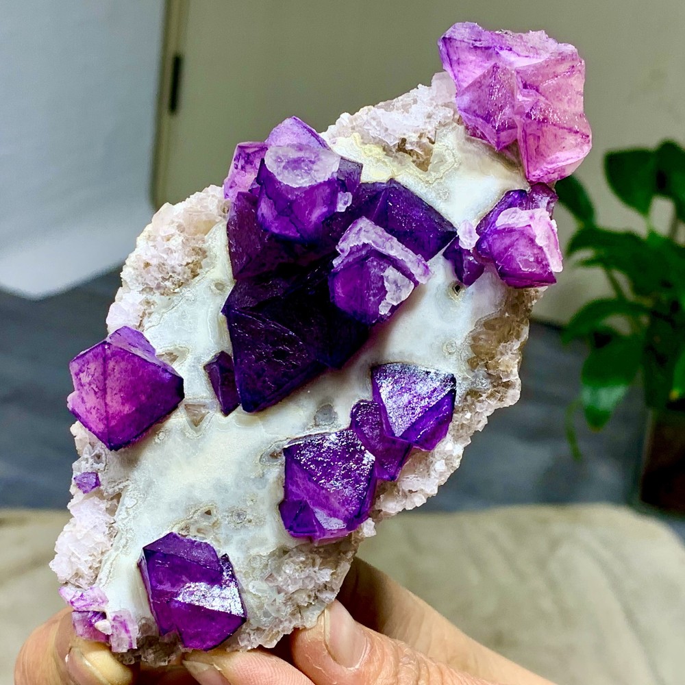 212G Natural Purple octahedron Fluorite quartz mineral crystal specimen