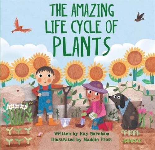 Look and Wonder: The Amazing Plant Life Cycle Story by Kay Barnham: New