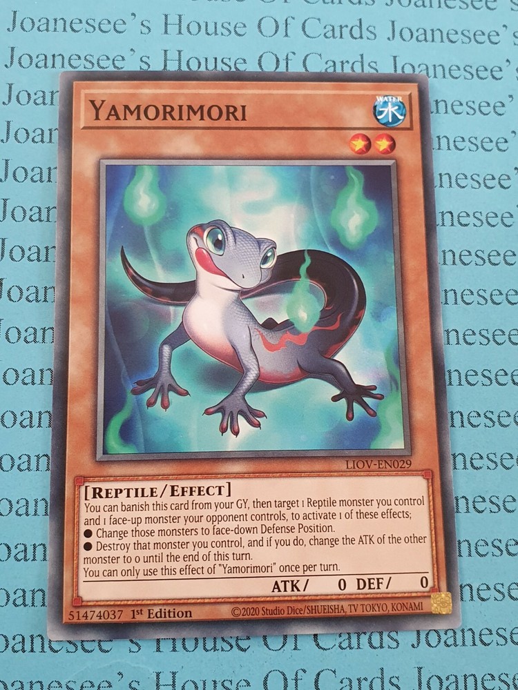 Yamorimori LIOV-EN029 1st Edition Yu-Gi-Oh Common Card New