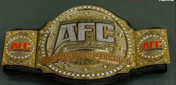 Aggression Fighting Championship AFC Light Weight Champion Wrestling Belt
