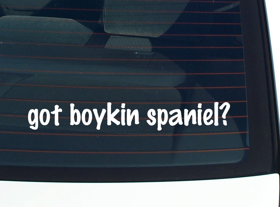 Boykin Spaniel Lover Car Decal Bumper Sticker Vinyl Window Art