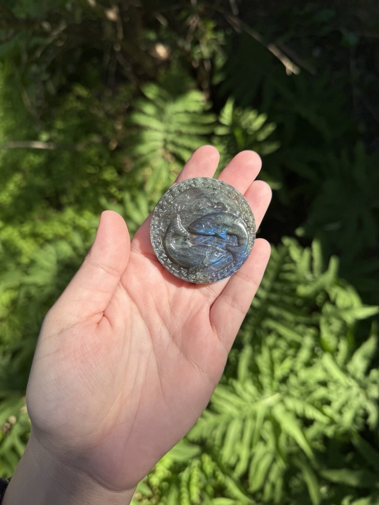 Labradorite Pisces Zodiac Carving | Crystals, Astrology, Talisman