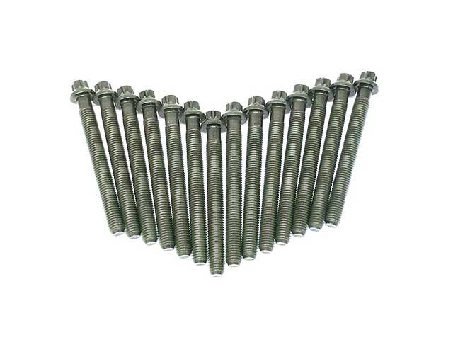 VICTOR REINZ 11121721938 Cylinder Head Bolt Set BMW 525i M3 328i 325i Z3 325is
