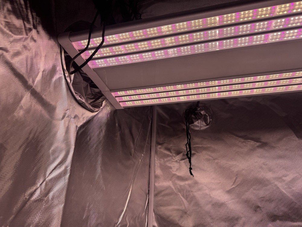 Green Sunshine Company ES300 LED Grow Light for Indoor Plants